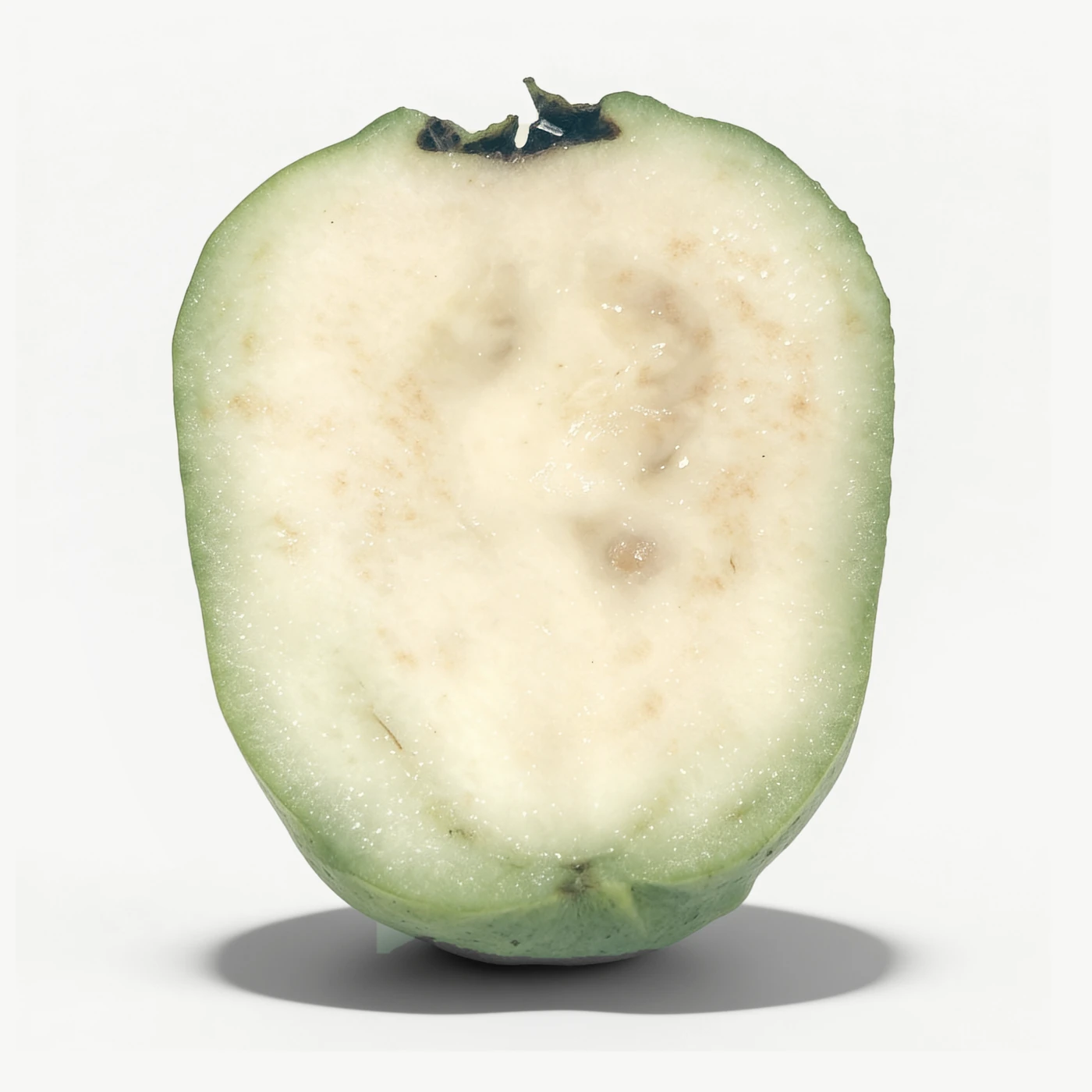 Guayaba de pulpa blanca cortada a lo largo: carne color marfil con muy pocas semillas visibles y corteza verde gruesa que se funde en degradado con la carne