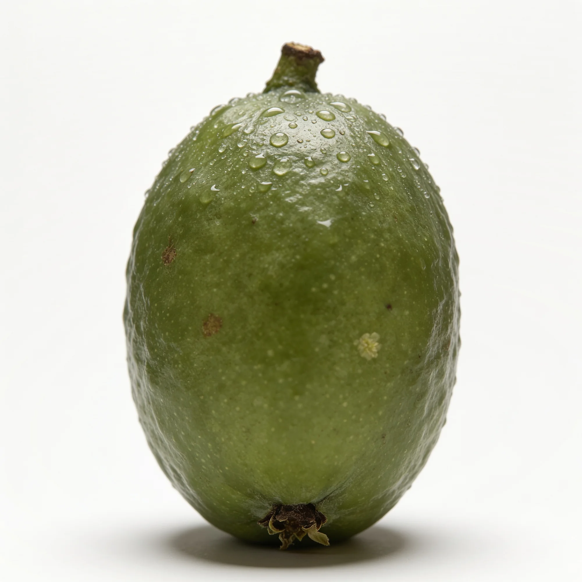 Guayaba entera vista de frente: piel verde oliva mate de grano fino, con el pedúnculo leñoso arriba y el cáliz seco en la base